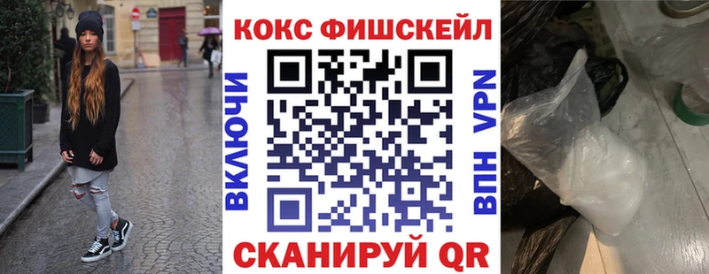где можно купить наркотик  Эртиль  Кокаин Fish Scale 